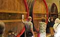 Entradas Visita privada a Valpolicella con degustación de aceite de oliva