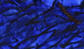 Mostra Marco Gastini, il respiro della pittura. Opere 1980-1990