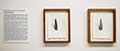 Exposition Massimiliano Gatti. Firaq… nostalgia Verone