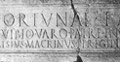 Museo Lapidario